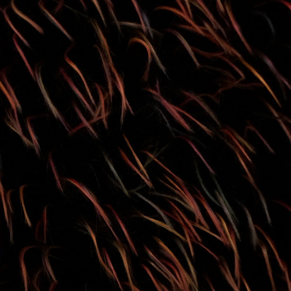 Beulah | Girls Night Out Jacket - Picture 2 of 5